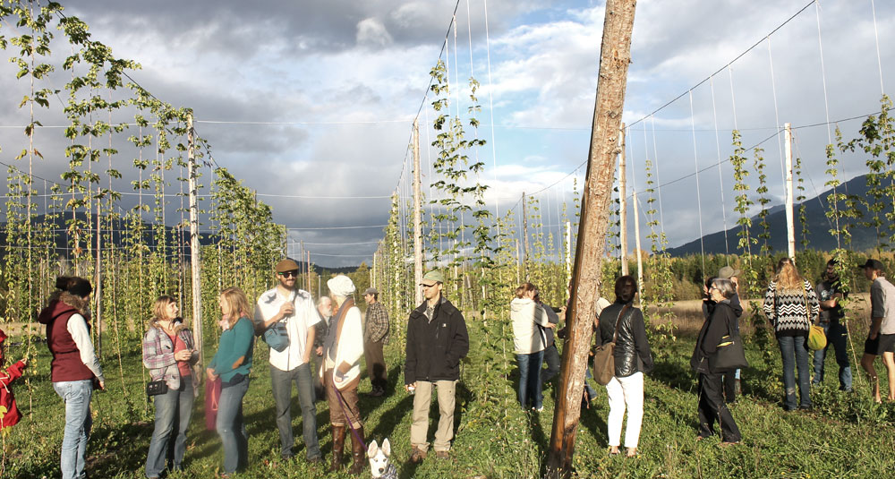 happy people in a field of hops